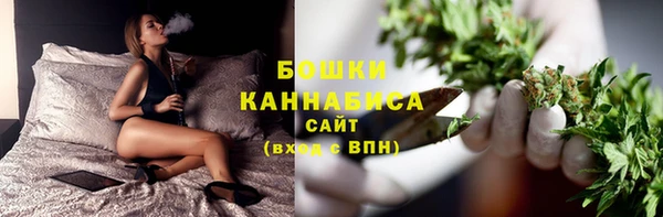 амф Аркадак