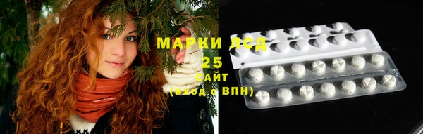 амф Аркадак