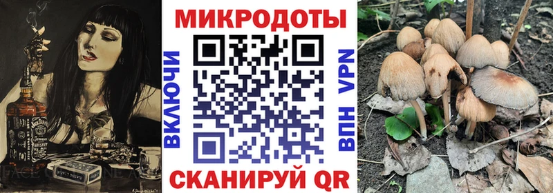 блэк спрут tor  Минеральные Воды  площадка официальный сайт  Псилоцибиновые грибы Magic Shrooms 